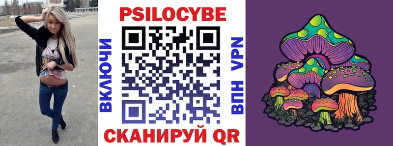 где купить   мега ТОР  Галлюциногенные грибы Cubensis  Пучеж 